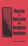 Muscles as Molecular and Metabolic Machines Muscles as Molecular and Metabolic Machines