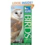 RSPB Pocket Birds