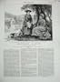1878 Frances Trollope Lucy Gnarled Olive Tree Luncheon