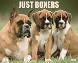 : Just Boxers 2009 Calendar