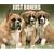 Just Boxers 2009 Calendar