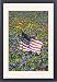 Framed Prints of American Flag in from Danita Delimont