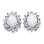 2.15 Carat Genuine Opal & Tanzanite Silver Earrings