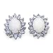 2.15 Carat Genuine Opal & Tanzanite Silver Earrings