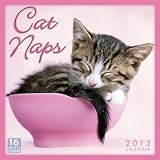 Cat Naps 2013 Wall (calendar)