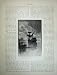 1886Australia Ship Torres Cape York Duyfhen Carpentaria