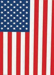 USA Garden Flag