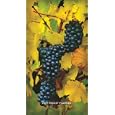 Color of Wine 2009 Pocket Planner Calendar