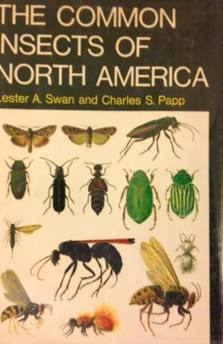 common insects of north america