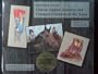 Illustrated Atlas of Clinical Equine Anatomy and Common Disorders of the Horse (Vol 1)