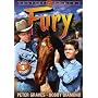 Fury