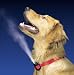 Health & Personal Care : GENTLE SPRAY CITRONELLA REFILLS GSREFILLCITRO
