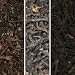 select black tea collection