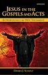 Jesus in the Gospels and Acts: Introducing the New Testament
