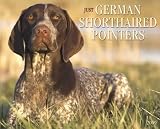 German Shorthaired Pointers 2009 Wall Calendar 13