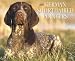   - German Shorthaired Pointers 2009 Wall Calendar 13