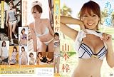 ���ܰ� ������ [DVD]