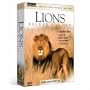 Lions - Deluxe Boxt Set