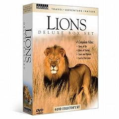 Lions - Deluxe Boxt Set by 