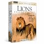 Lions - Deluxe Boxt Set