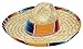 Jacobson Hat Company Men's Sombrero with Serape Band, Multicolor, Child