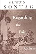 Regarding the Pain of Others