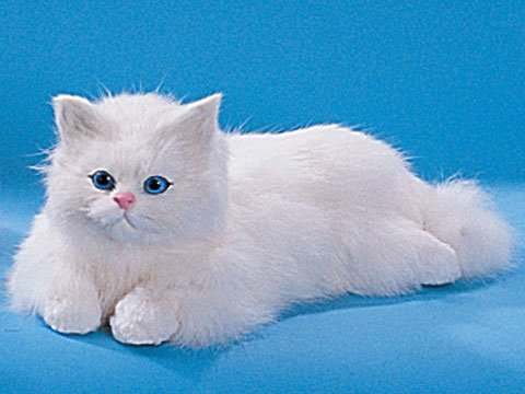 Cat Bobbing Head Collectible Figurine Kitten Statue Decoration Model
