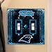 Carolina Panthers NFL Art Glass Double Switch Plate Cover
