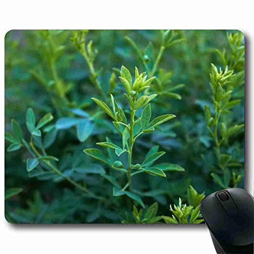 High-quality-is-not-easy-to-bad-Mouse-Pad-Nature-866-x-7Inches-Mouse-Pad-Support-Wired-Wireless-or-Bluetooth-M