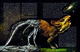 picture of The Magic of Reality: How we know what\
