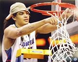 Joakim Noah Florida Gators - Cutting Down The Nets - Autographed 16x20 Photograph