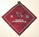 Arizona Cardinals NFL Jersey Mesh Bandana Scarf