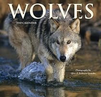 Wolves 2010 Wall Calendar