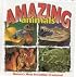 Amazing Animals (It's Nature!)