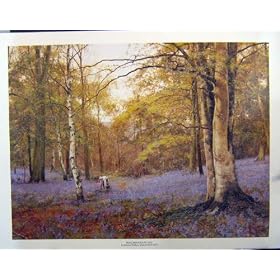 Grandes Fleurs d'Arbres de H�tres d'Impression de Couleur de Waite