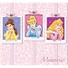 SandyLion 12-Inch by 12-Inch Disney Princess Bo by Ed Scrapbook Album