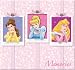 Sandylion DCLSCBA2 12-by-12-Inch Embossed Scrapbook Album with Gift Box, Disney Princess