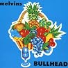 Image of album by Melvins