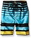 Kanu Surf Boys' Toddler Echo Stripe Swim Trunks