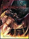 Bound by Fire (The Twin Flames)