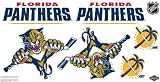 NHL Florida Panthers Car Decals Medium - 49-by-25-Inch