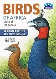 Birds of Africa : south of the Sahara