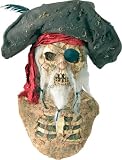 Pirate Halloween Mask