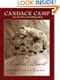 The Bridal Quest (Thorndike Core)
