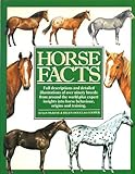 Horse facts
