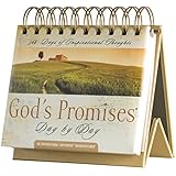 DaySpring God's Promises Day by Day, DayBrightener Perpetual Flip Calendar, 366 Days of Inspiration (77872)