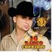 16 Narco Corridos