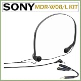 Sony MDR-W08L Ultra Lightweight Vertical In-The-Ear Headphones with Audio Splitter Adapter