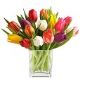 15-Stem Mixed Tulip Bouquet with Vase