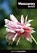 DVD : Westcountry Gardens